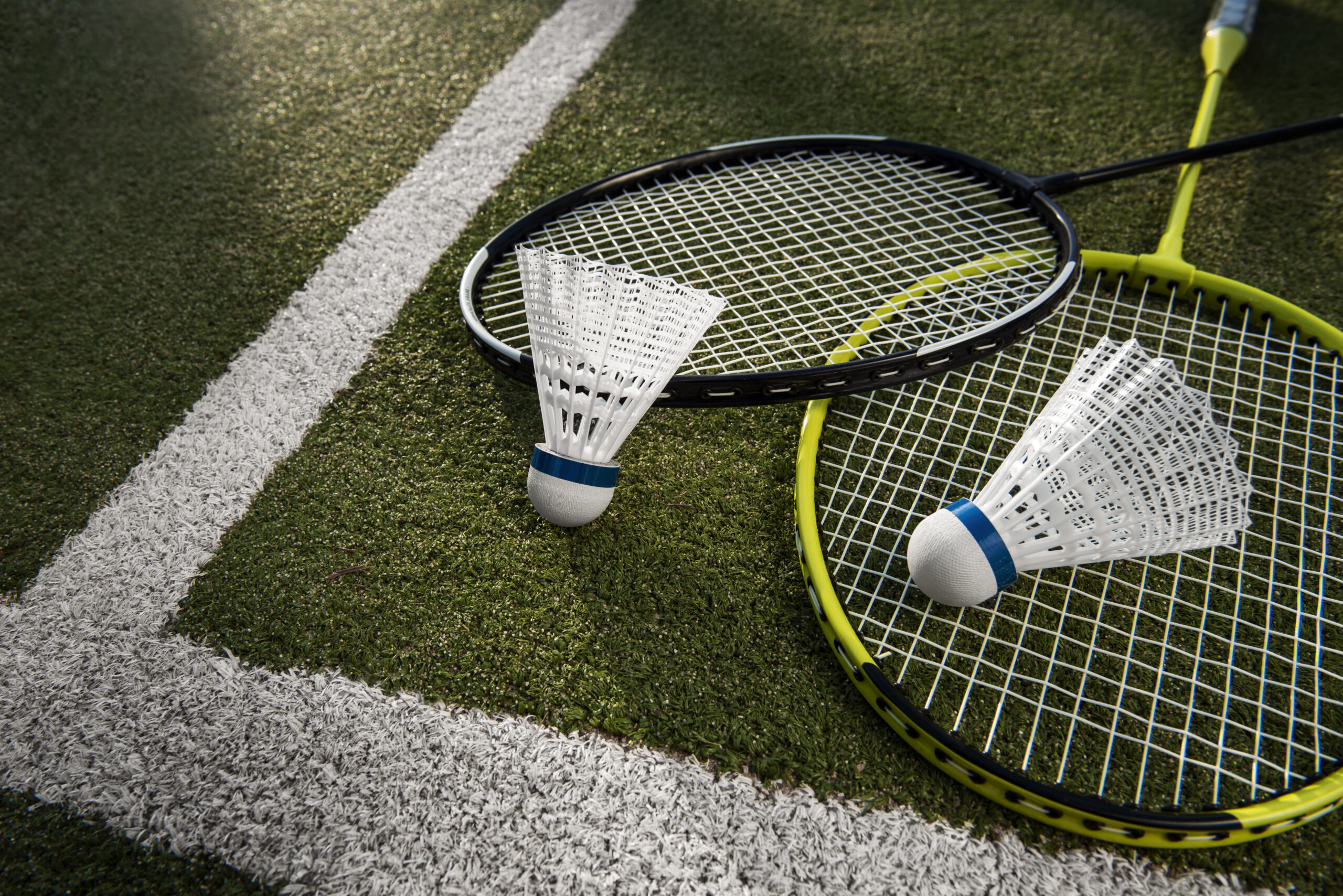 Pavani Felicity is spread over an area of 2.39 acres